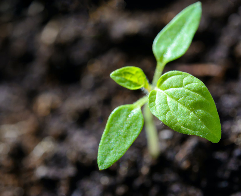 土壤檢測(cè)解決方案